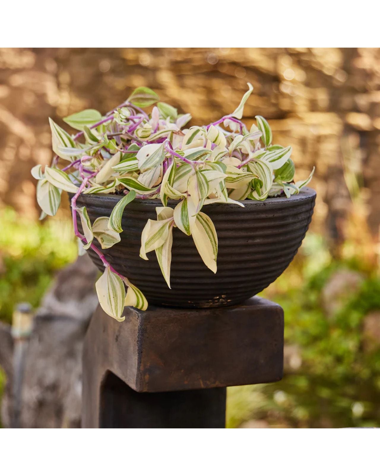 Tierflow - 3 Tiers Bowls Modern Water Feature