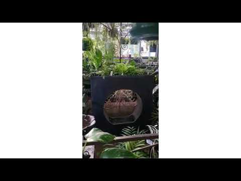 Cirrus Rain Curtain Shower Modern Wall Water Feature