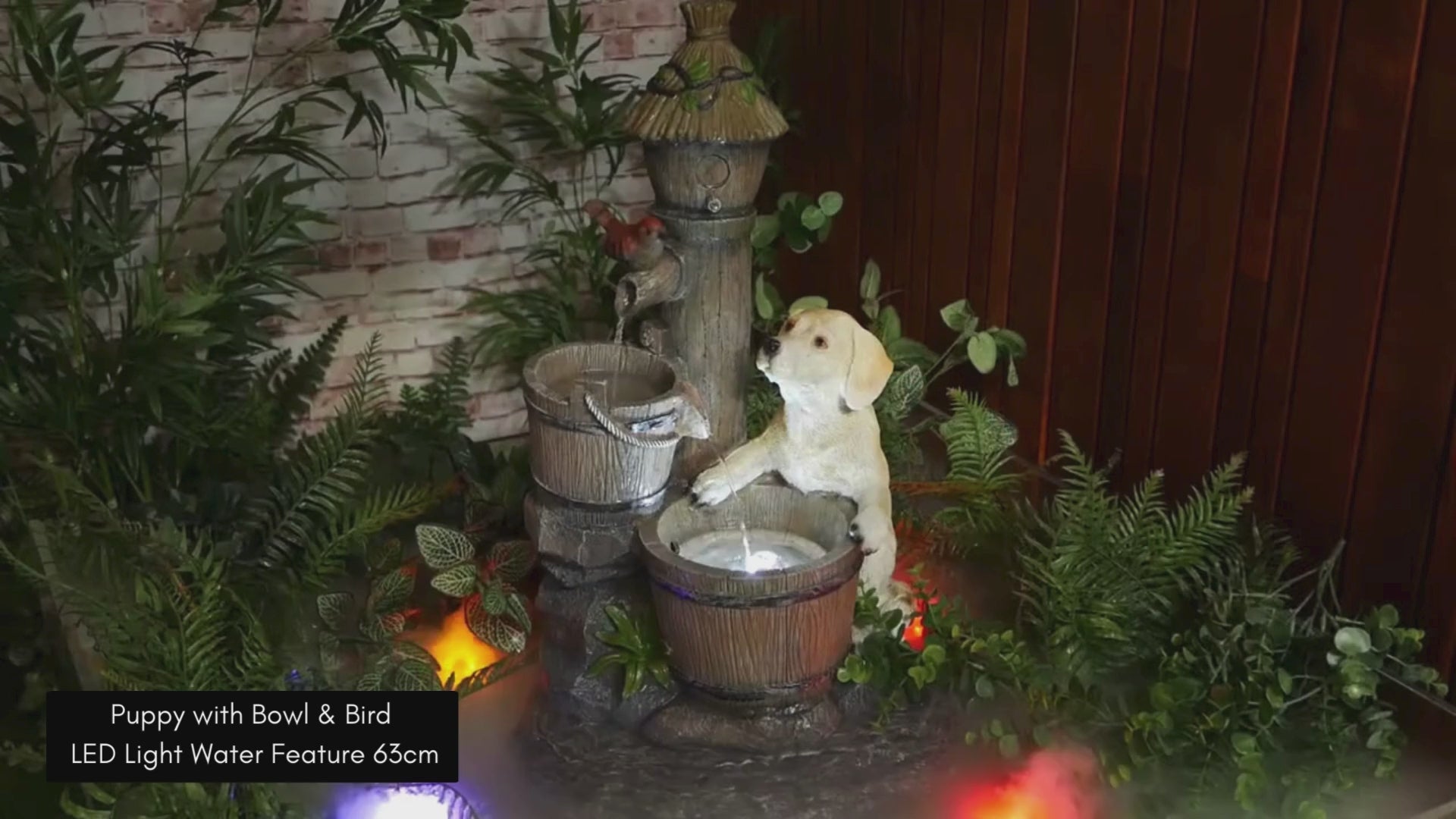 Puppy with Bowl & Bird LED Light Water Feature 63cm