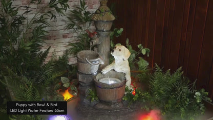 Puppy with Bowl & Bird LED Light Water Feature 63cm