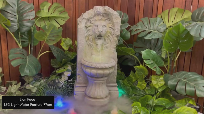 Lion Face LED Light Water Feature 77cm